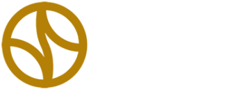 Dutch Plantin