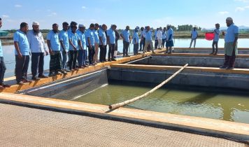 WhatsApp Image 2025-12-06 at 08.50.56